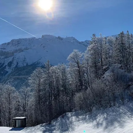 Murmeli By Interhome Энгельберг