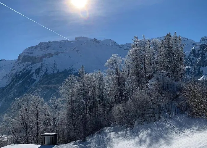 Murmeli By Interhome Engelberg